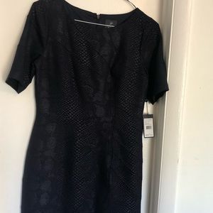 Brand new Adrianna Papell navy blue dress